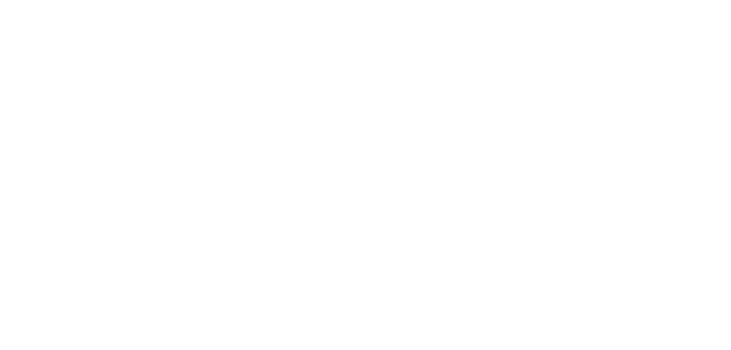 WiseWays logo